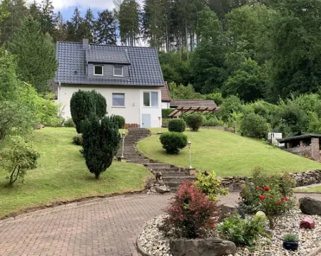 Forest view in the Lerbachtal / Harz Hotels in Osterode am Harz