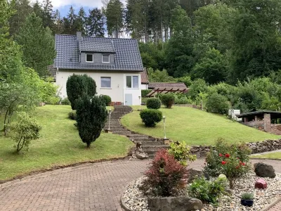 Forest view in the Lerbachtal / Harz Hotels near Lidl