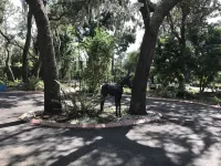 Private  Gated  Spacious   3300  sq foot  4BR 3Bath indoor pool