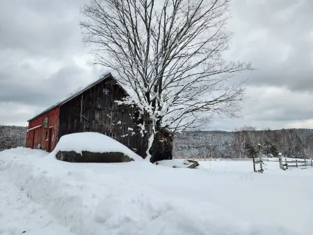 200 Year old updated Farmhouse on 12 acres - near Berkshire East Mountain Resort
