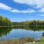 Trailside at Middle Pond