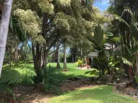 Royal Palm Cottage/5 mins from beach/Akaka Falls/Private Lanai Hāmākua Forest Reserve 주변 호텔