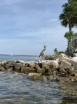 Sun Diver is charming, close to marinas, and water sports on East end of PCB, FL