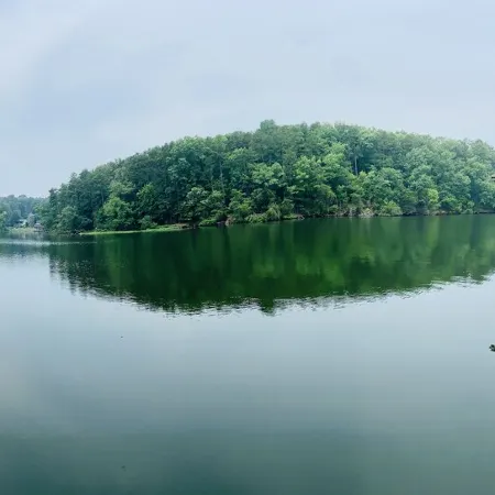 Tranquility on Lake Tillery , Waterfront Home with Large Dock & Paddle Boards!