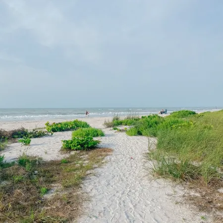 Loggerhead Cay 482 -All New! Beautiful Condo Quick Walk To Beach