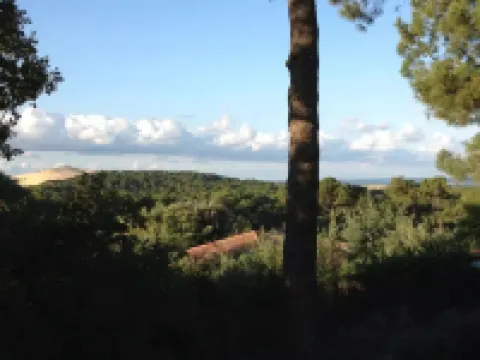 Villa 12 Couchages Pyla/mer Grand Jardin Plage à 800 m ,vue Dune, Calme Absolu