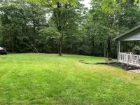 Cottage in the Woods