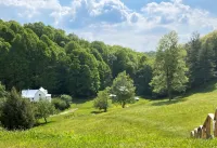 Serenity and Seclusion in Roan Mountain, TN