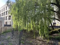 Immediate proximity to the Bordeaux hyper center Hotels in Bruges