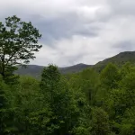 Creekside Farmhouse Cottage in the Mountains Hotels in Millshoal