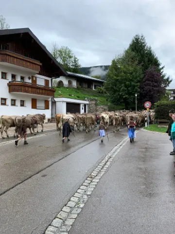 Newly renovated November 2024! Cozy vacation apartment "Hygge-Alpin" Oberstdorf