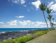 Kona Reef F14 Oceanfront Luxury, Full AC, King
