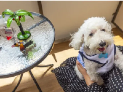 Yenns Marina Inn Mashiki Condo Hotels - Vacation Stay 85633V 宜野湾のホテル