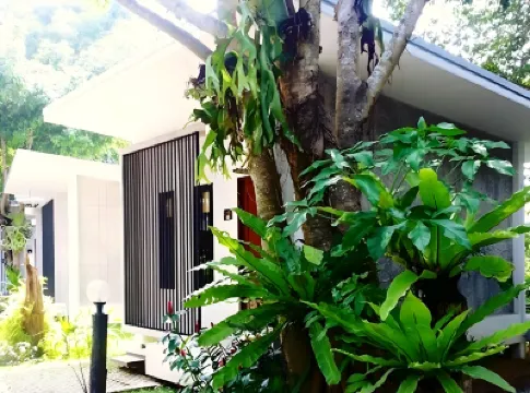 Dusai Tara Resort Hotels near Sai Nam Phung Orchid Farm