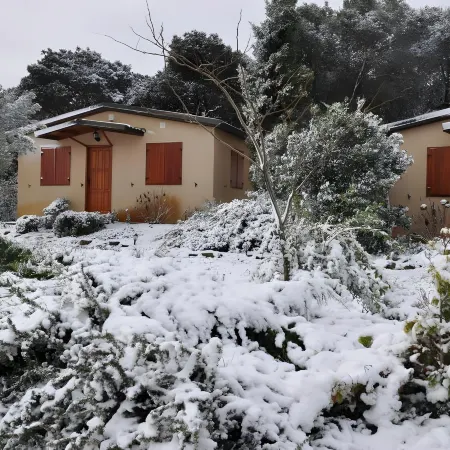 La Cerca Del Alcornoque