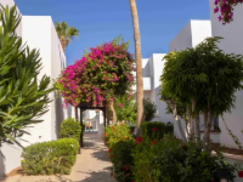 Kapetanios Aqua Resort Hotels in Coral Bay