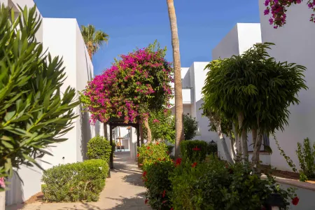Kapetanios Aqua Resort
