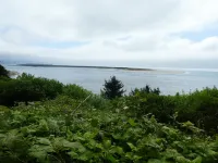 In the Heart of Netarts