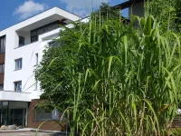 Hotel Scholz Hotels in Aalen