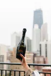 The Chicago Hotel Collection - Ambassador Gold Coast - Scenic