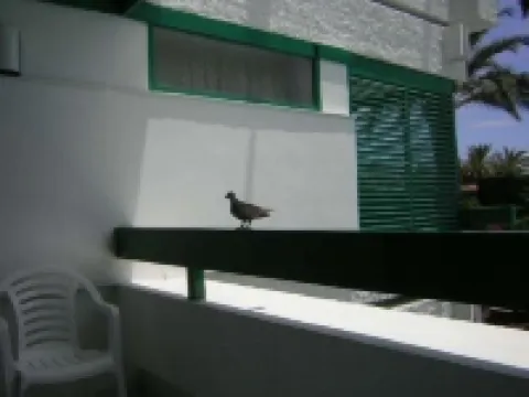Apartamentos Maba Playa