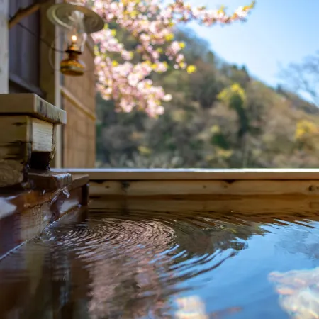 Natsuse Onsen Miyakowasure