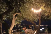 Hotel Marina del Capo Hôtels à : Capo Vaticano