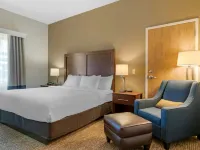 Comfort Inn Mechanicsburg - Harrisburg South Hotels in Cumberland County