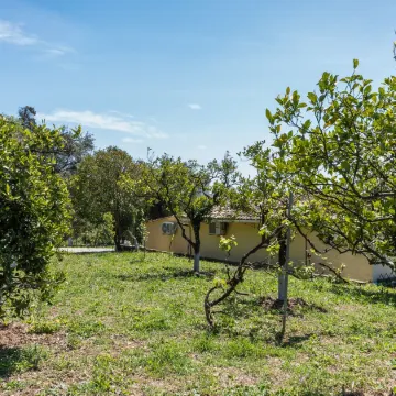 Cottage in the Nature by Konnect, Agios Markos