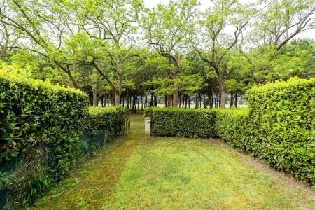 Agriturismo Bio Femminella Отели рядом с достопримечательностью «Cieloverde Camping Village Marina di Grosseto (GR)»