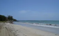 Oceanic View Apartment at Fern Court - Beach