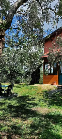 La Piana Degli Ulivi