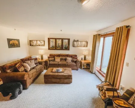 Stratton's Best Kept Secret Ski On/Off Unit E Hotels in Stratton Mountain