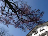 Shitaka小旅館