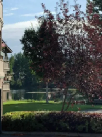 Lakeside Escape in the Heart of Anchorage - 2BR/2BA Condo -Views, Garage, Patio