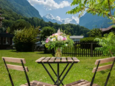 Jungfrau Hotel Annex Alpine-Inn Hotels in Wilderswil