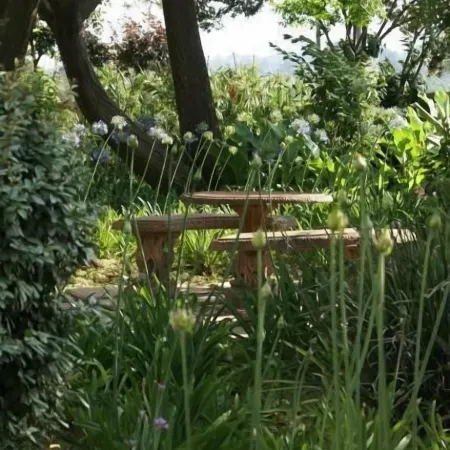 Attaché Guest Lodge & Health Spa