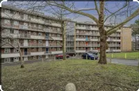 Stylish 1BR Apt w/ Fireplace & High-speed Wifi Hotels in Beckenham