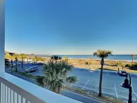 Dolphin Watch 7
