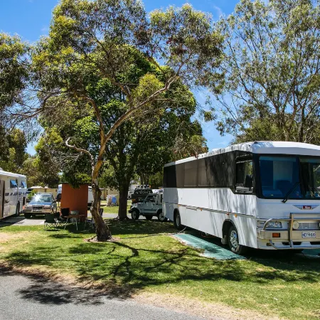 Tasman Holiday Parks - Albany