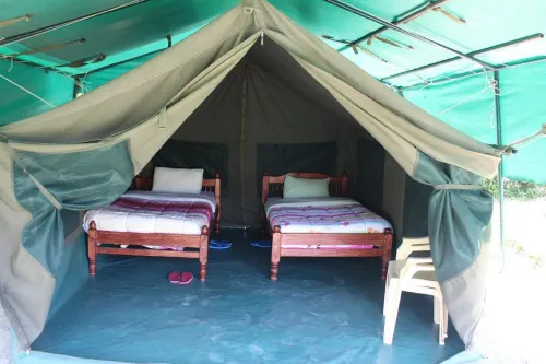Cactus Eco Camp and Lodge Hotels in Гилджил