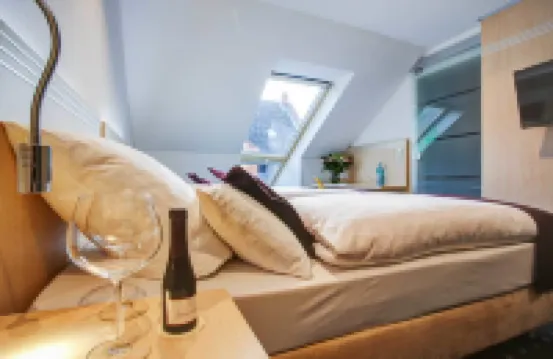 萊茵內卡爾飯店