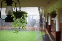 3 Hills County Hotels in Kalpetta