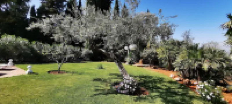 綠巖精品民宿 - 限成人 阿爾豪林德拉托里酒店