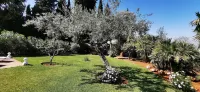 Roca Verde Boutique Bed & Breakfast - Adults Only