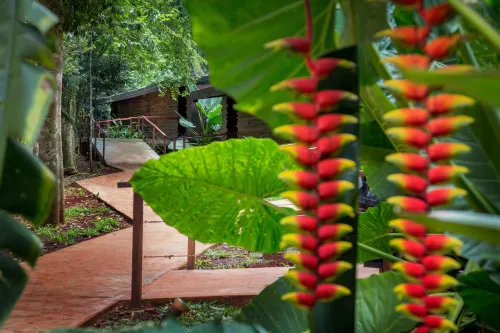 La Reserva Virgin Lodge by Nobile Hotels in Iguazu