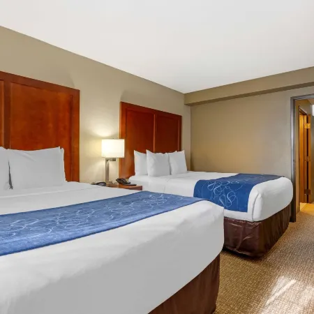 Comfort Suites Fredericksburg South