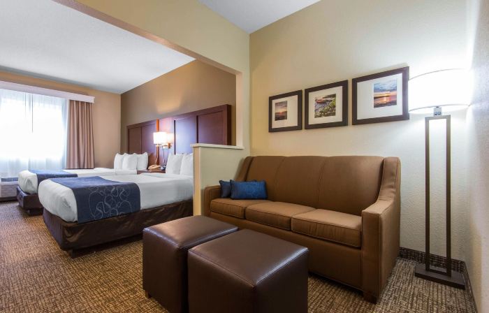 Comfort Suites Rochester Henrietta University Area