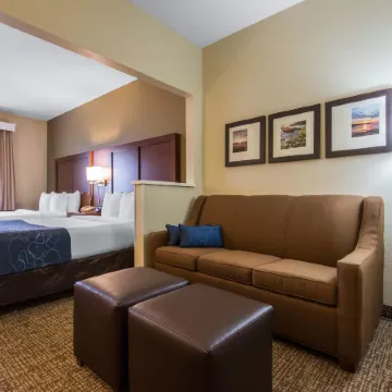 Comfort Suites Rochester Henrietta University Area