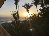 Pension les Palmiers